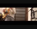 【弾いてみた】RADWIMPS - アイアンバイブル