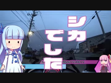 【琴葉車載】GSRで北海道 道の駅完全制覇の旅 #3 北上、オロロンライン！
