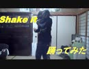 【あむる】Shake it！【踊ってみた】