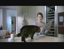 坂本勝直の癒やしの猫動画集・おもしろ猫ＣＭまとめ