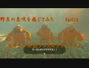 野生の息吹を感じてみたゼルダの伝説ブレスオブザワイルド　 part24