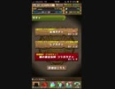 パズドラ 鋼の錬金術師コラボガチャ20連！！