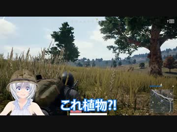 【神回】PUBGで女子が本気出したら奇跡が起きた！なんと‥！