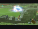 自由すぎるリンクの冒険【プレイ動画その２３８】