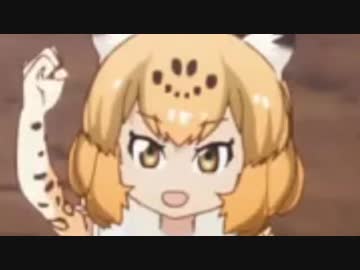 ジャガーの咲く場所