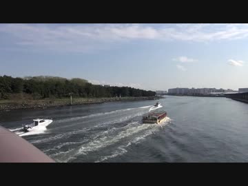 【社会人5人】Daydream caféを踊ってみた【遠景】