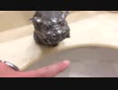 [沖縄]首里城のトイレの蛇口がシーサー(^^ )