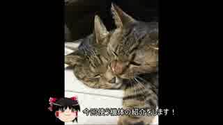 ゆっくりガンオンー名前はまだ無い！（それ！ゆけ！インコムマン！！）