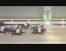 2017年12月5日船橋競馬12R ハマシギ賞(C1・C2選抜牝馬) シャインプラチナム