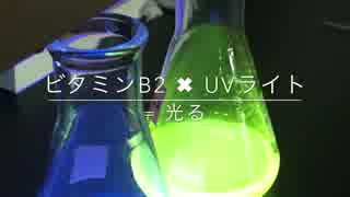 機器分析化学☆ビタミンB2 x UVライト = 光る☆