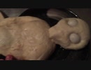 宇宙人拾ったから食べてみた