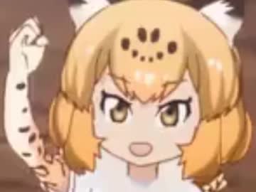 GreatJaguar【合作単品】