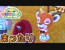 【ポケ森】ぶつ森初体験の動物好きがまったり実況 #5
