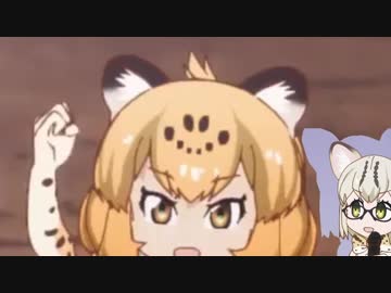 一豹さん　大晦日にぃ　見たほうがいいんだけどぉ　