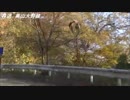【車載動画】 福井県道を全線走ってみた その22 奥越と一乗谷の山と林道