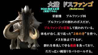 【MHXX 実況】#4 MHWまでにXXやるには遅すぎた男！【ドスファンゴ】