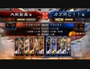 三国志大戦　新大将軍デッキ　二品
