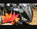 【ゆっくり車載】ご近所3分ツーリング【三段峡】
