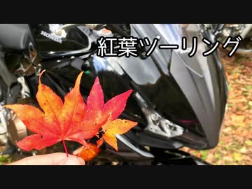 【ゆっくり車載】ご近所3分ツーリング【三段峡】