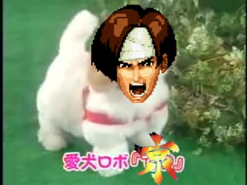 愛犬ロボ「京」