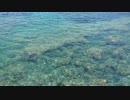 Similar Videos　坂本勝直