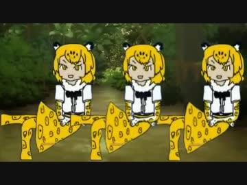 ジャガーさんの一週間