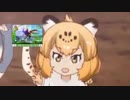 南米王者ネコキング「JAGURUステージ」