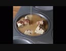 荒谷竜太美味いスイーツ料理が満載。６秒Vine パート３