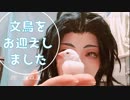 【刀剣乱舞】文鳥をお迎えしました【藤森蓮】太鼓鐘貞宗と鶴丸国永