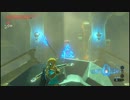 【プレイ動画】ゼルダの伝説ブレス オブ ザ ワイルド DLC第2弾【part７３】
