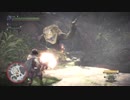 ∴【MHW】モンハンワールド ドスジャグラス ヘビィボウガン 1分31秒43（β）