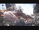 ルプス視点＆モンハンワールドβ体験版