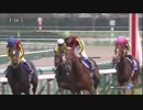 2017年　第69回 阪神JF（GⅠ）【ラッキーライラック】