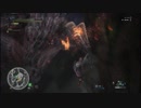 リオレウス ソロ討伐 大剣