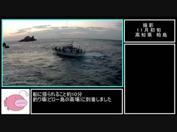 フカセ釣り釣行記　part1【高知県柏島 ビロー島の高場】