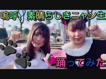 【よもりり】嗚呼、素晴らしきニャン生【踊ってみた】
