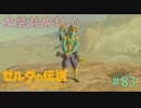 【ゼルダの伝説BW】男子禁制！？やるしかねぇ＃83【ボソボソプレイ 】