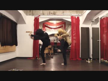 【MHA】ナンセンス文学踊ってみた【同期組】