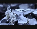 【オリジナル曲】葛生【中国風エレギー】