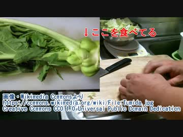 日曜市で買った野菜を仕込むよ