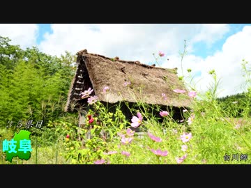 【Z250で】47都道府県ツーリング 中部編【31-38県目】