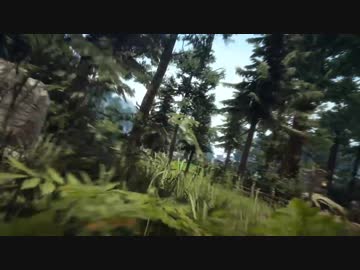 【1080p動画テスト】黒い砂漠