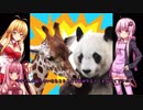 【DTB】ゆかりさんと茜ちゃんのどうぶつタワーバトル
