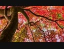 安全地帯・夢のつづき (cover Otoizumi)