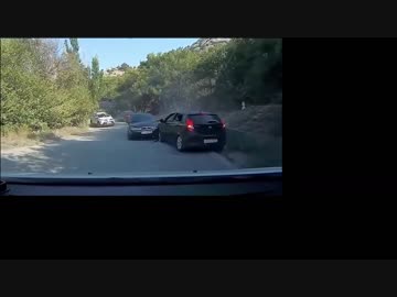 2017・ドライブレコーダーは見た！#13