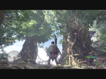 ∴【MHW】モンハンワールド リオレウス ライトボウガン 8分56秒00 （β）