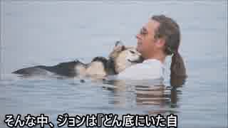 徳川高人動物感動エピソード 泣ける話 飼い犬の病気を和らげる