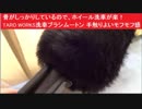 骨がしっかりしているので、ホイール洗車が楽！TARO WORKS洗車ブラシ　傷防止ムートン　手触りよいモフモフ感
