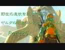 野生の息吹を感じてみたゼルダの伝説ブレスオブザワイルド　 part26