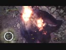 MHWβ版 レウス＆ジャナフ討伐　ソロガンス
